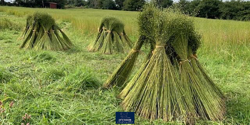 Vải linen là gì? Tìm hiểu về chất vải linen trong may mặc